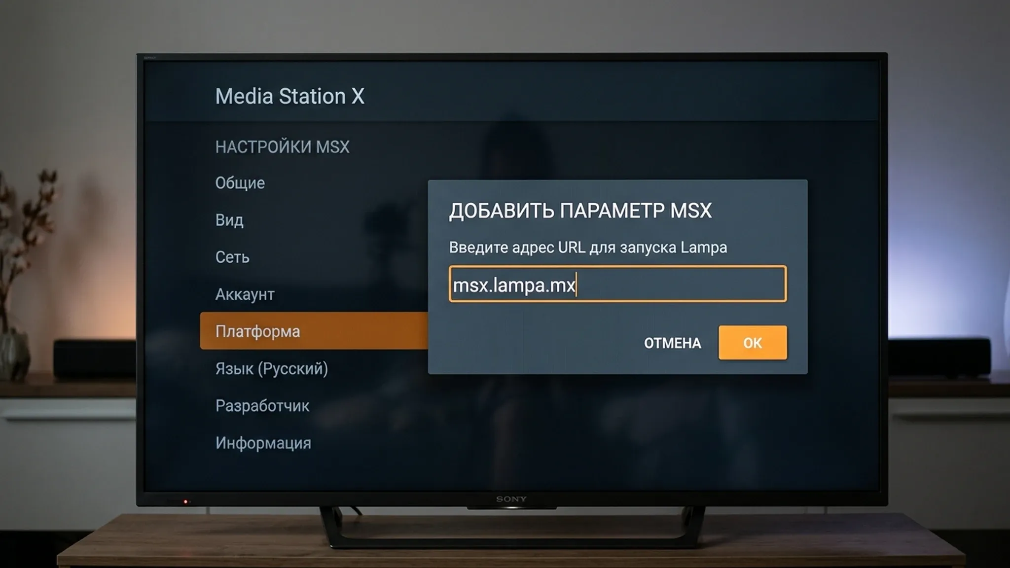 Ввод стартового параметра msx.lampa.mx в приложении Media Station X